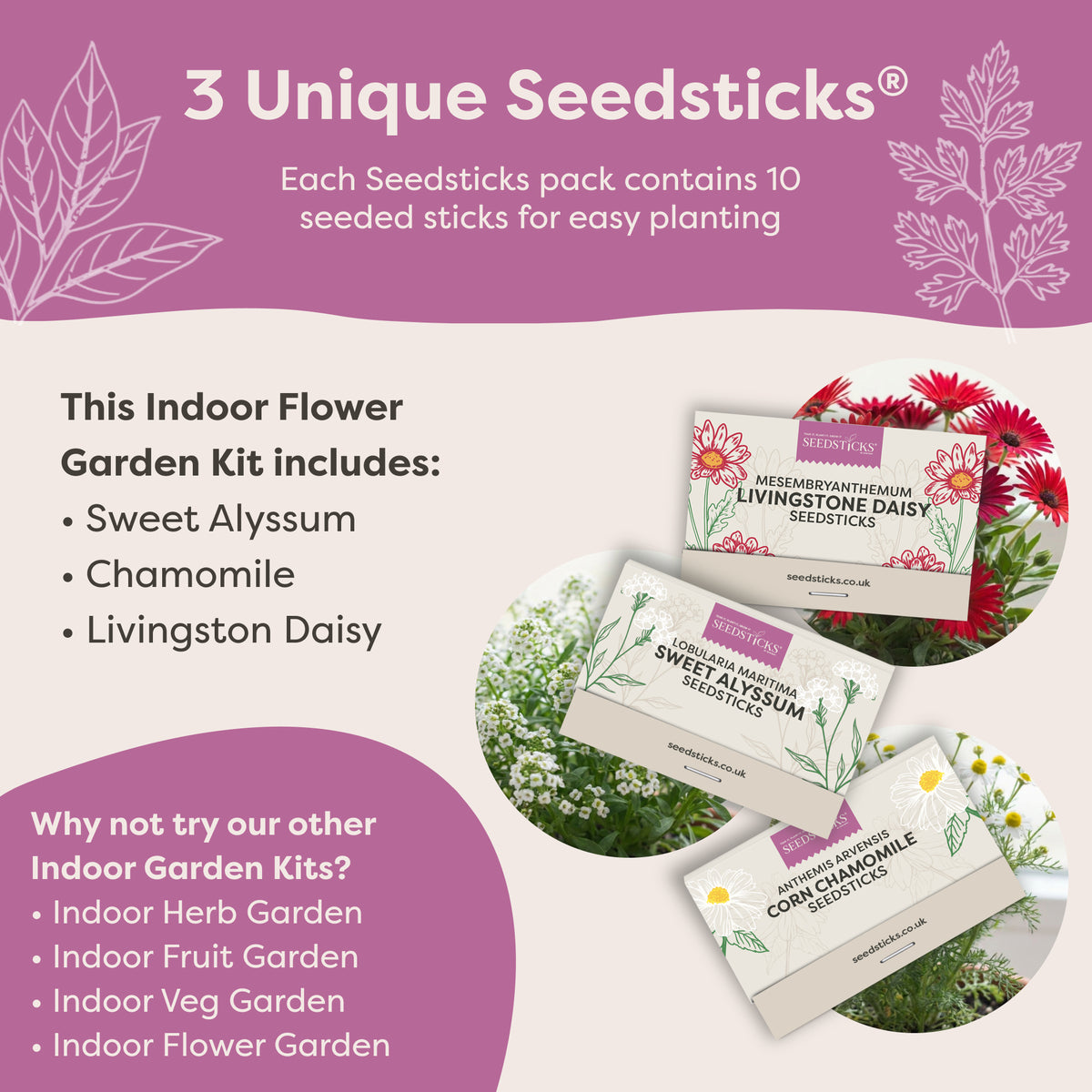 Indoor Flower Jar Garden Kit - secondary product image