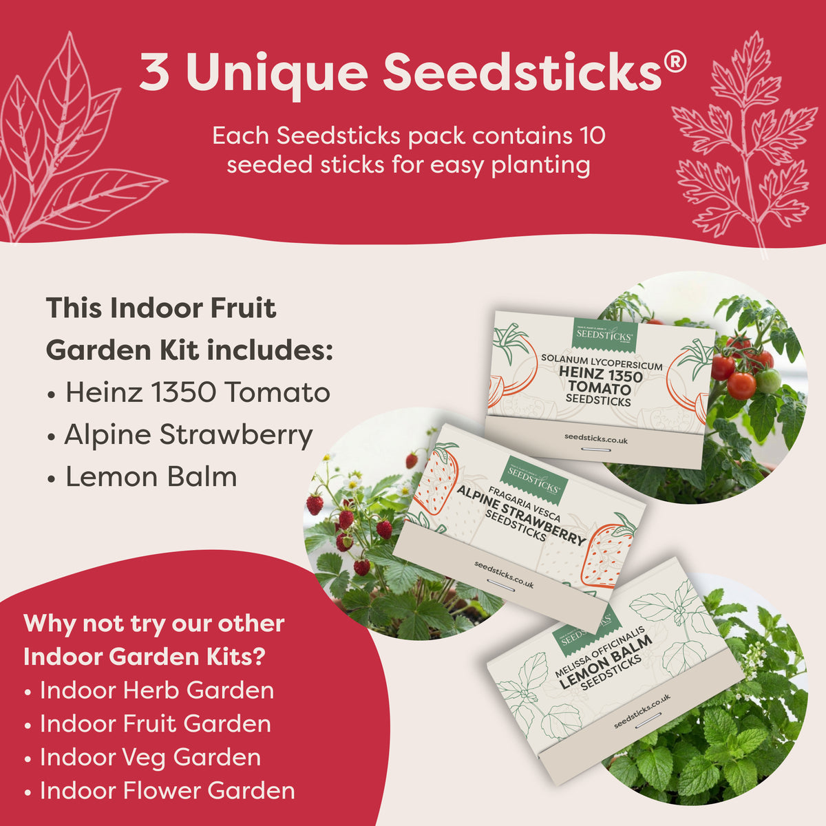 Indoor Fruit Jar Garden Kit - secondary product image