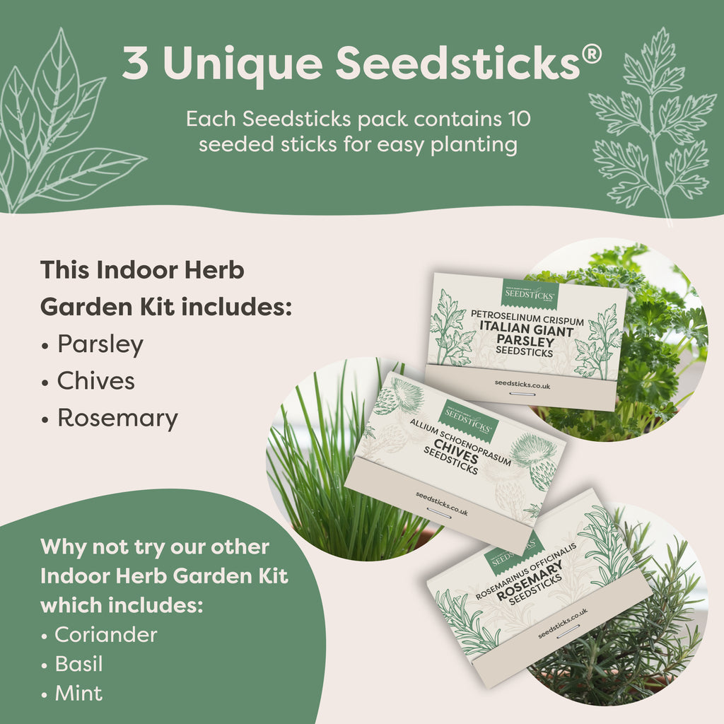 Indoor Herb Garden (Parsley, Chives, Rosemary) - secondary product image