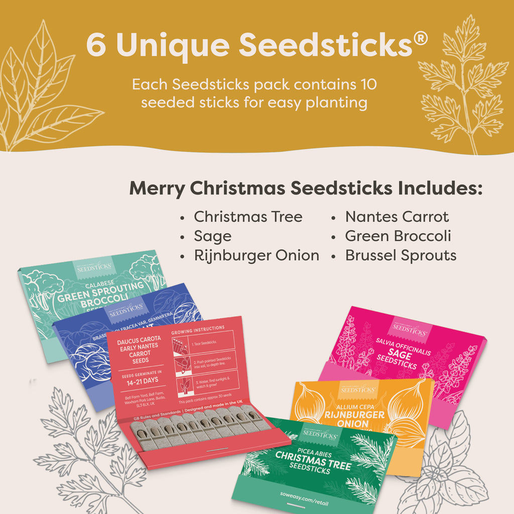 Festive Flavours Seedsticks - What is included