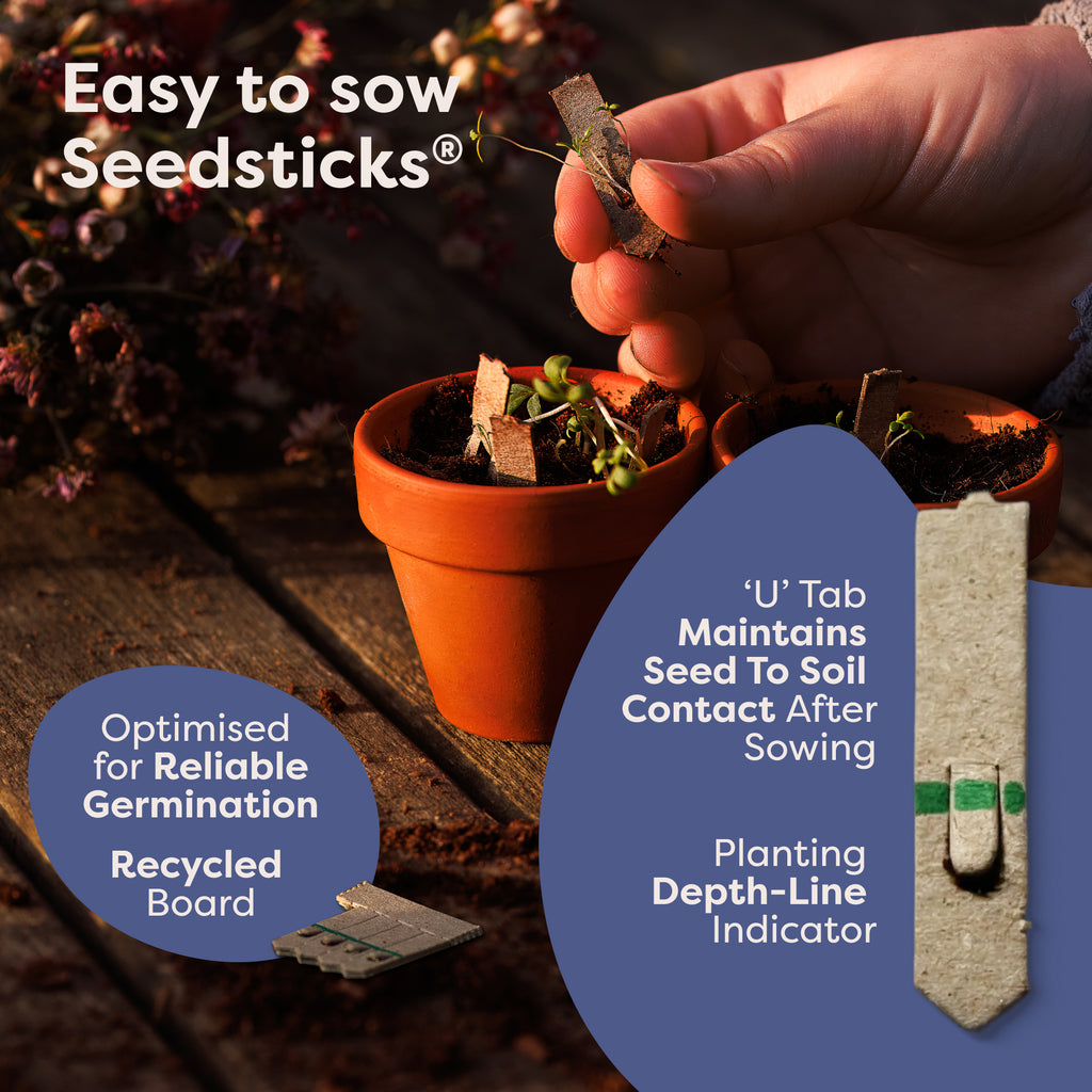 Relaxation Gift Pack - Seedsticks close-up
