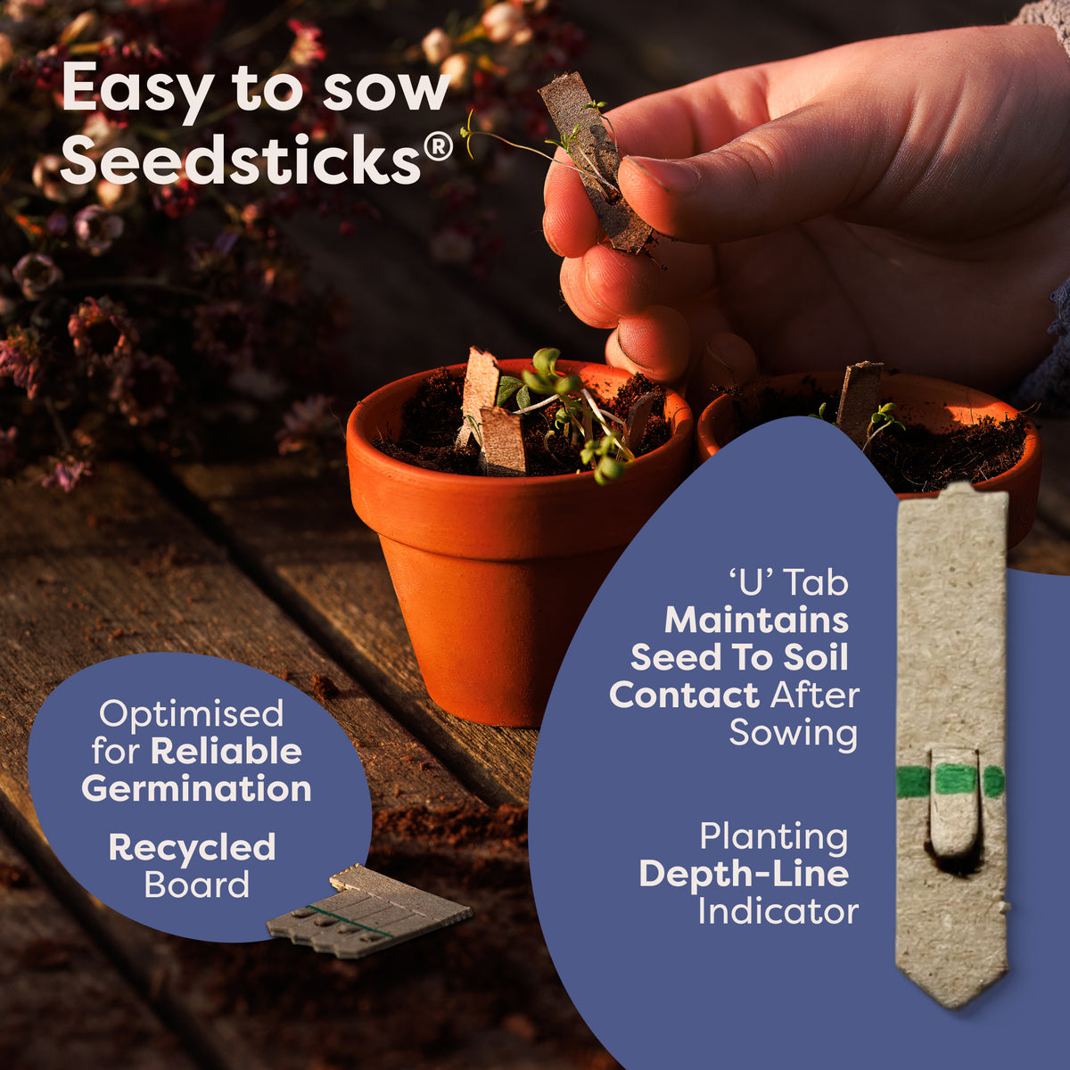 Relaxation Gift Pack - Seedsticks close-up