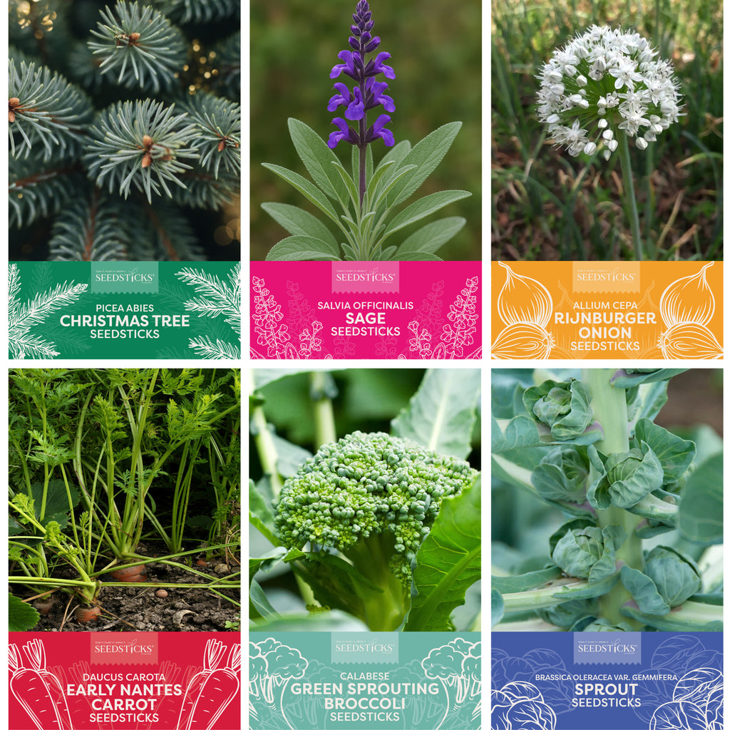 Festive Flavours Seedsticks - Key product points