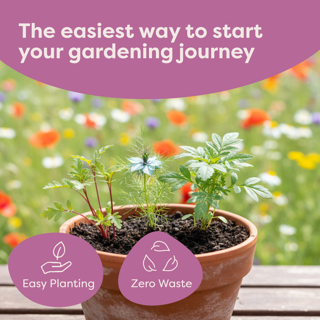Blooming Flower Seed Sacks - secondary product image