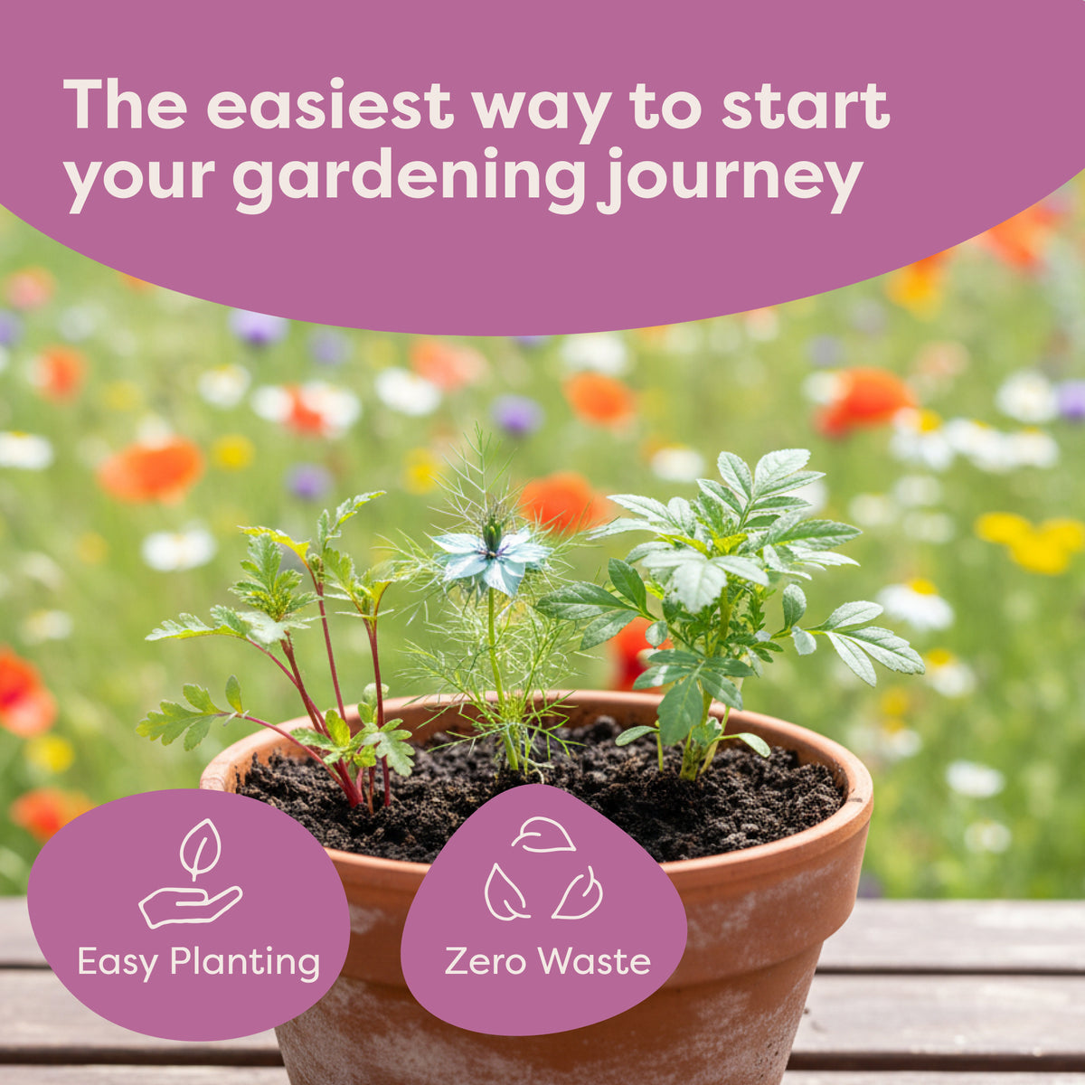 Blooming Flower Seed Sacks - secondary product image