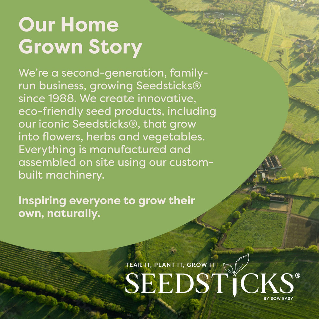 Gourmet Pizza Seedsticks – product and growing image 8