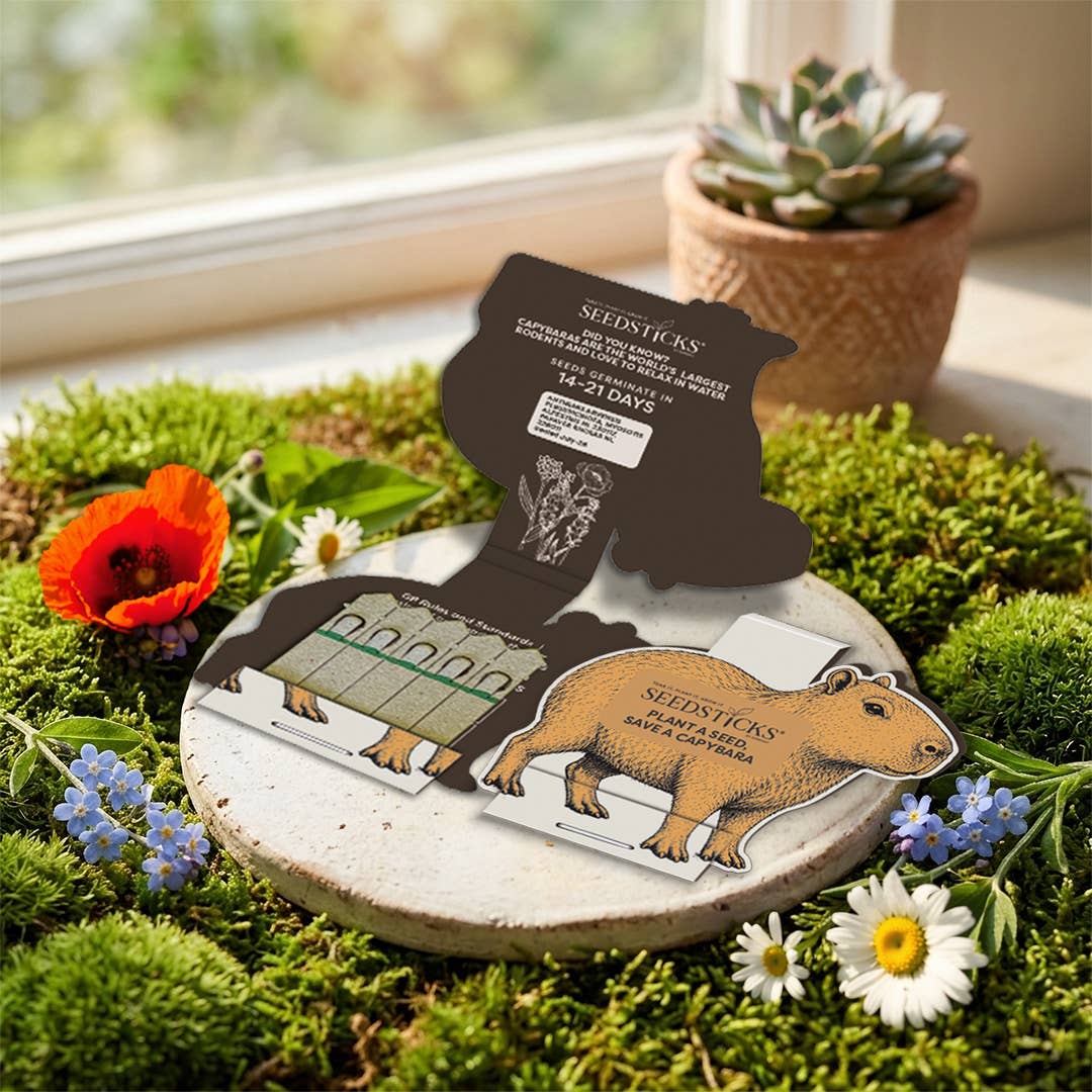 Capybara Seedsticks – product and growing image 3
