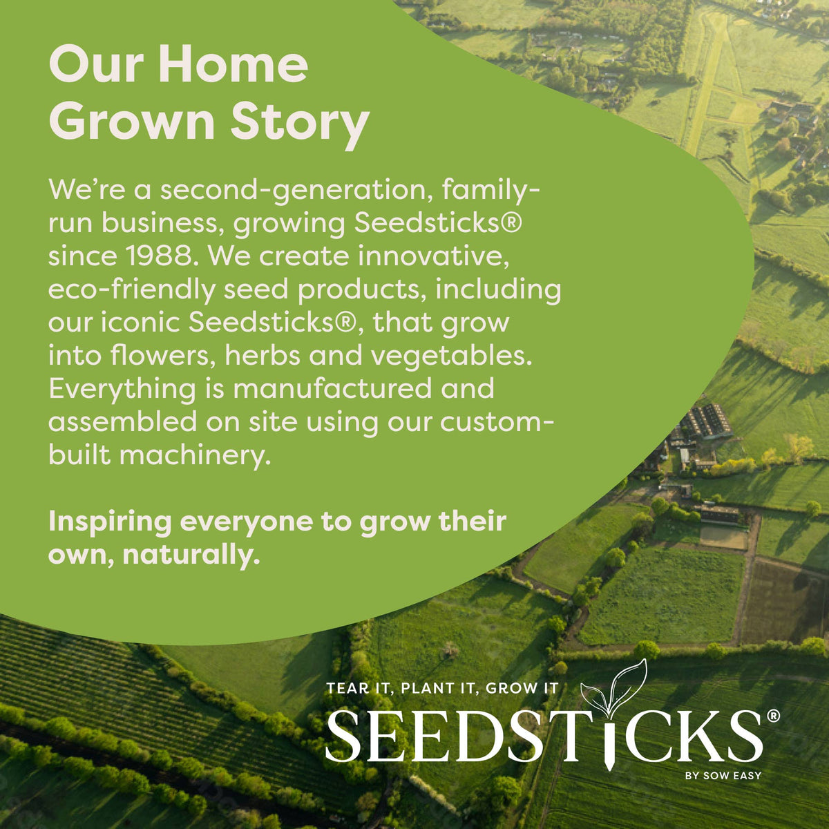Capybara Seedsticks – product and growing image 8