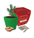 Grow Your Own Christmas Tree bamboo-pot kit