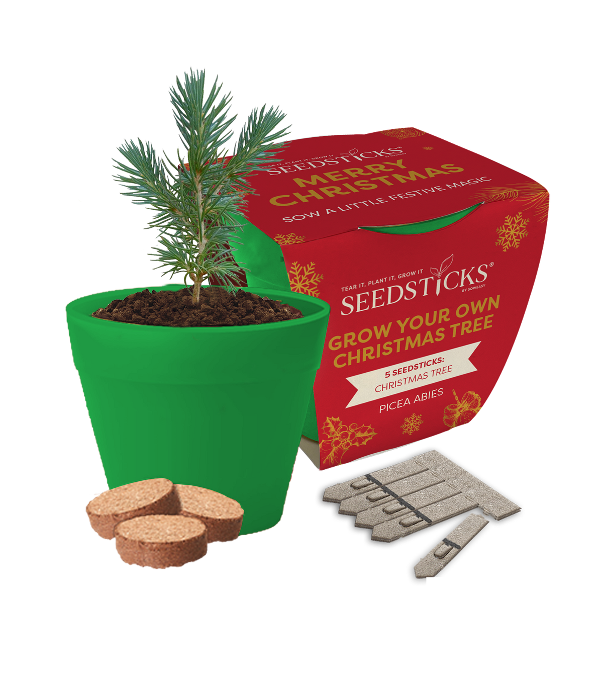 Grow Your Own Christmas Tree bamboo-pot kit