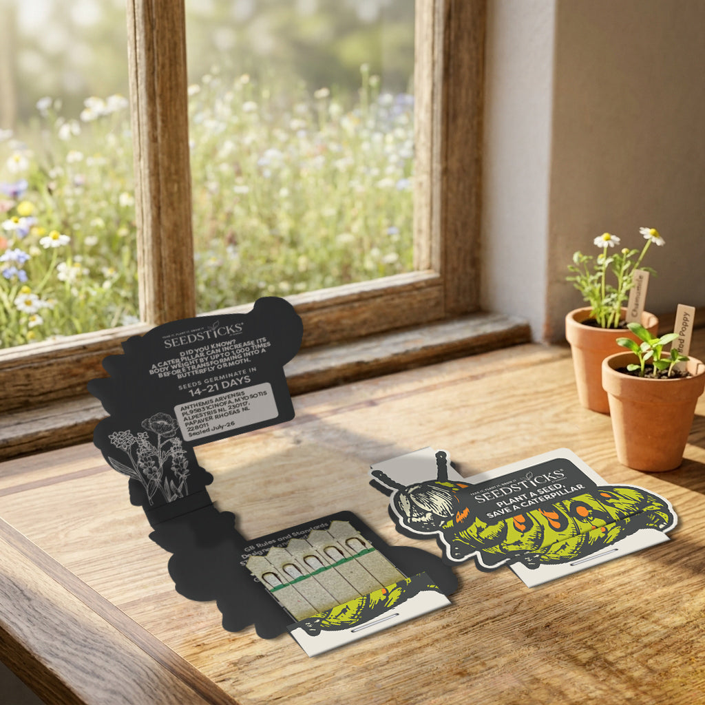 Caterpillar Seedsticks pollinator-friendly wildflower gift