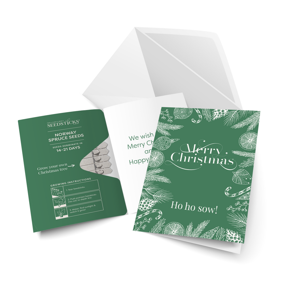 Christmas Greeting Card Seedsticks Set - secondary product image