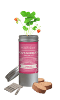Desktop Tube Gardens Strawberry