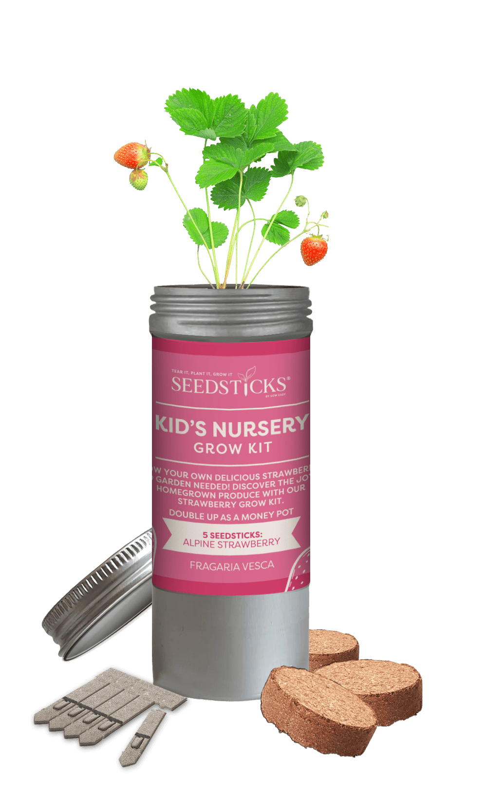 Desktop Tube Gardens Strawberry