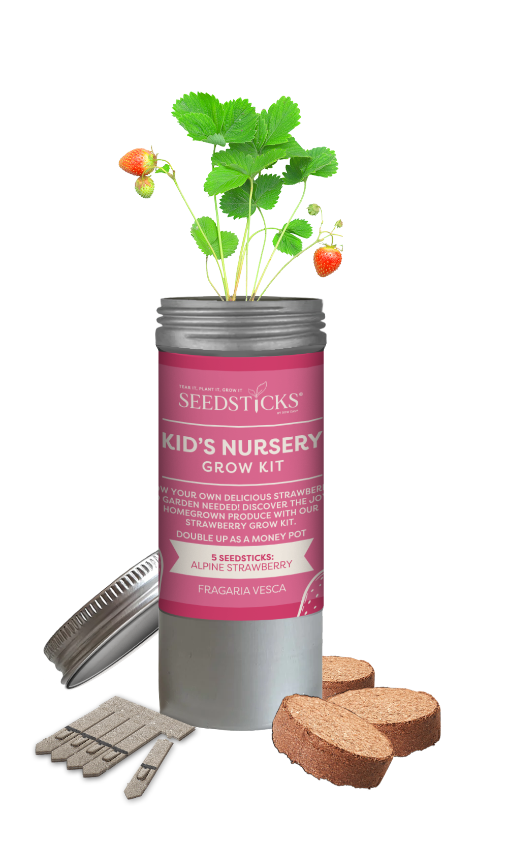 Desktop Tube Gardens Strawberry - secondary product image