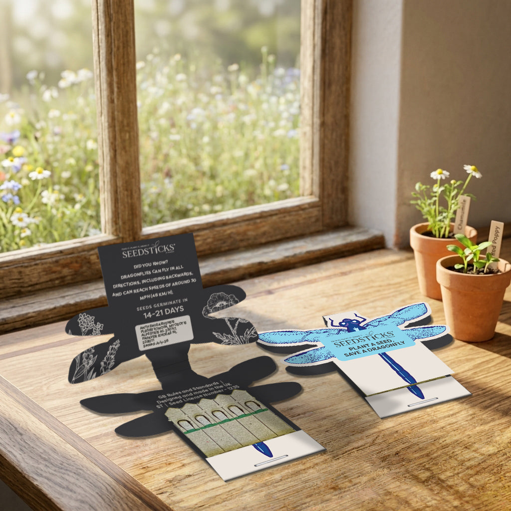 Dragonfly Seedsticks wildflower gift for wildlife-friendly gardeners