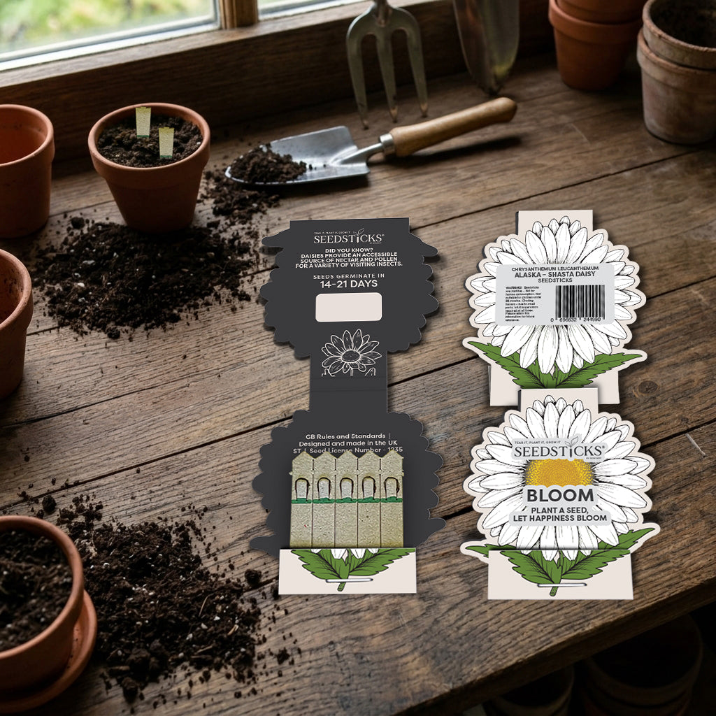 Daisy Seedsticks in a floral lifestyle setting