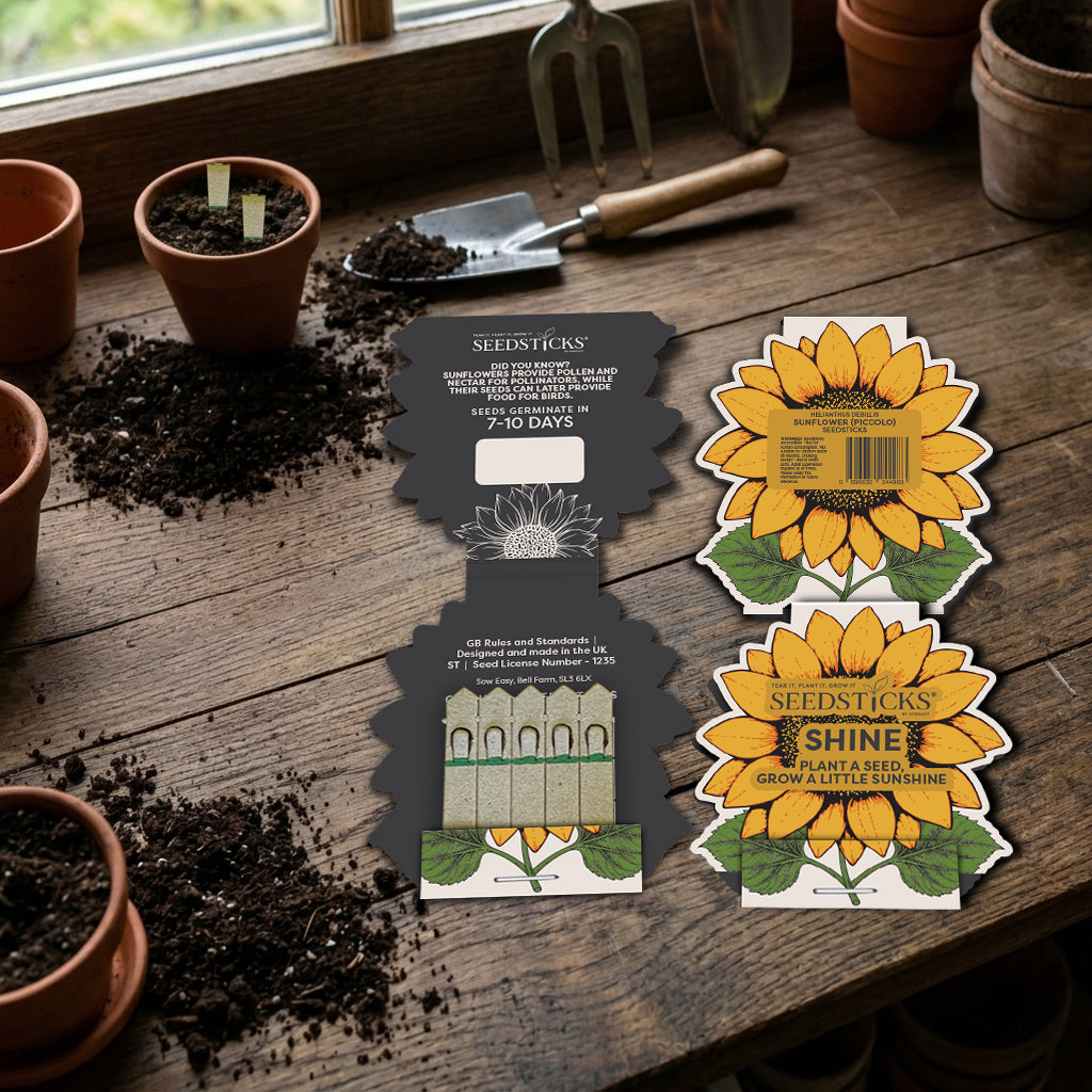 Sunflower Seedsticks in a bright lifestyle setting
