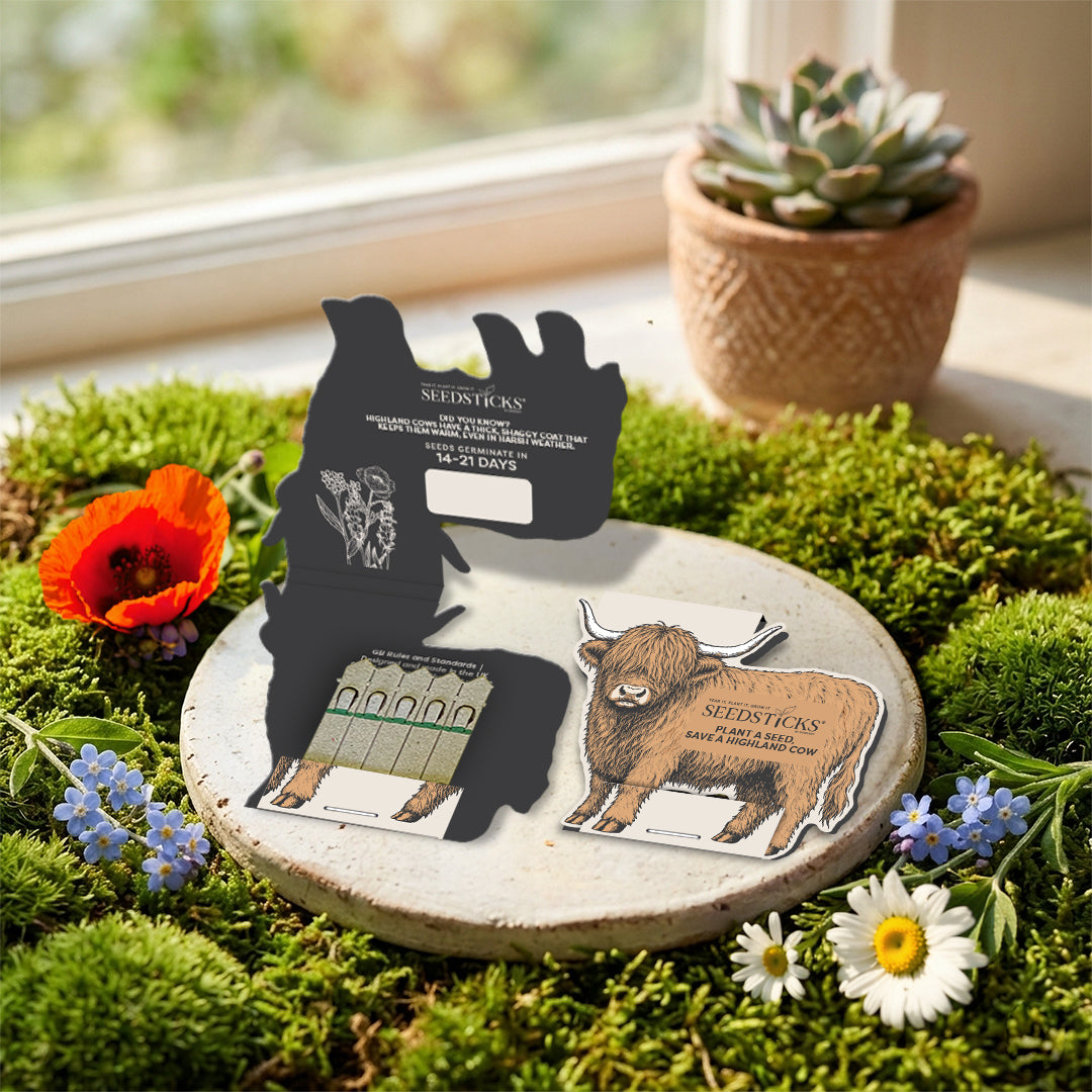 Highland Cow Seedsticks wildflower gift in a countryside setting
