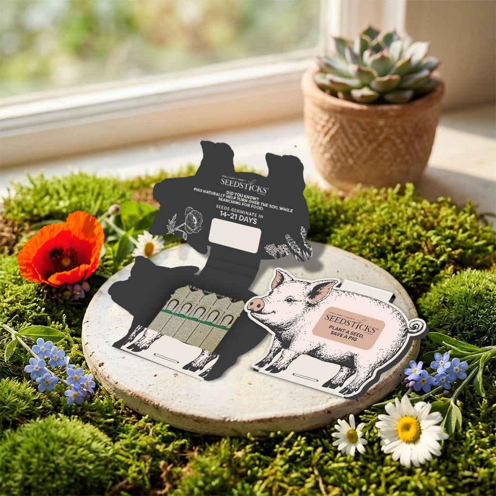 Pig Seedsticks wildflower gift in a countryside setting