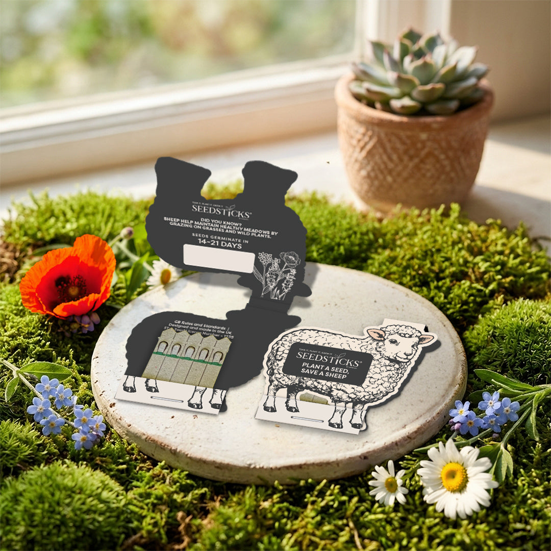 Sheep Seedsticks wildflower gift in a countryside setting