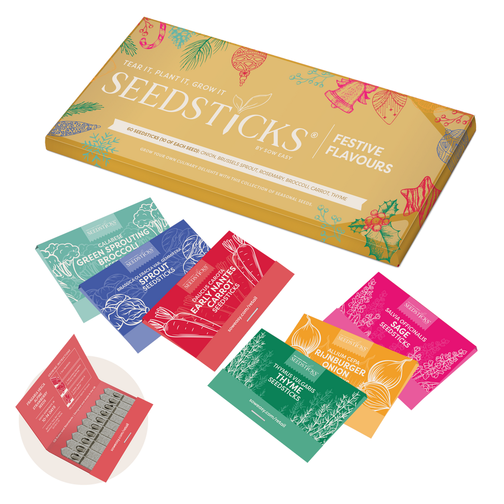 Festive Flavours Seedsticks gift box product artwork