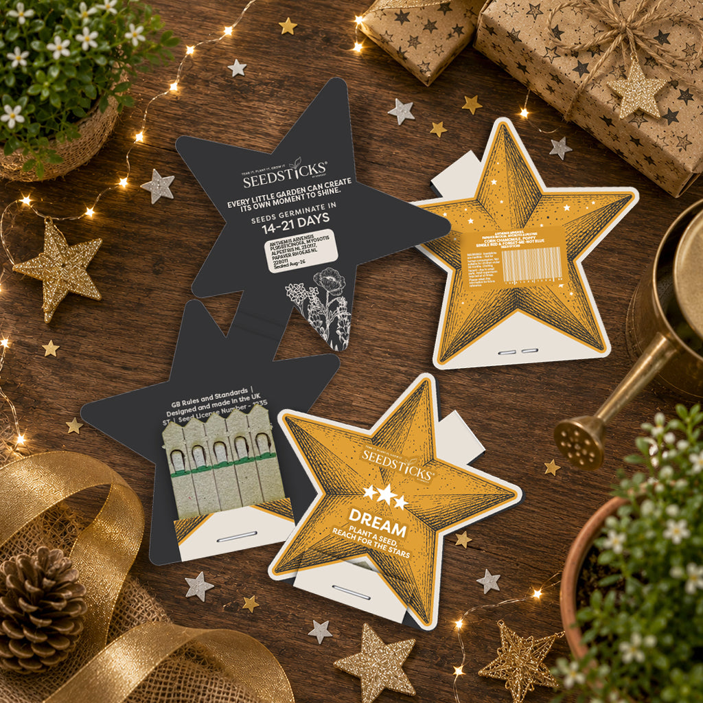 Star Seedsticks displayed in a festive garden-themed setting