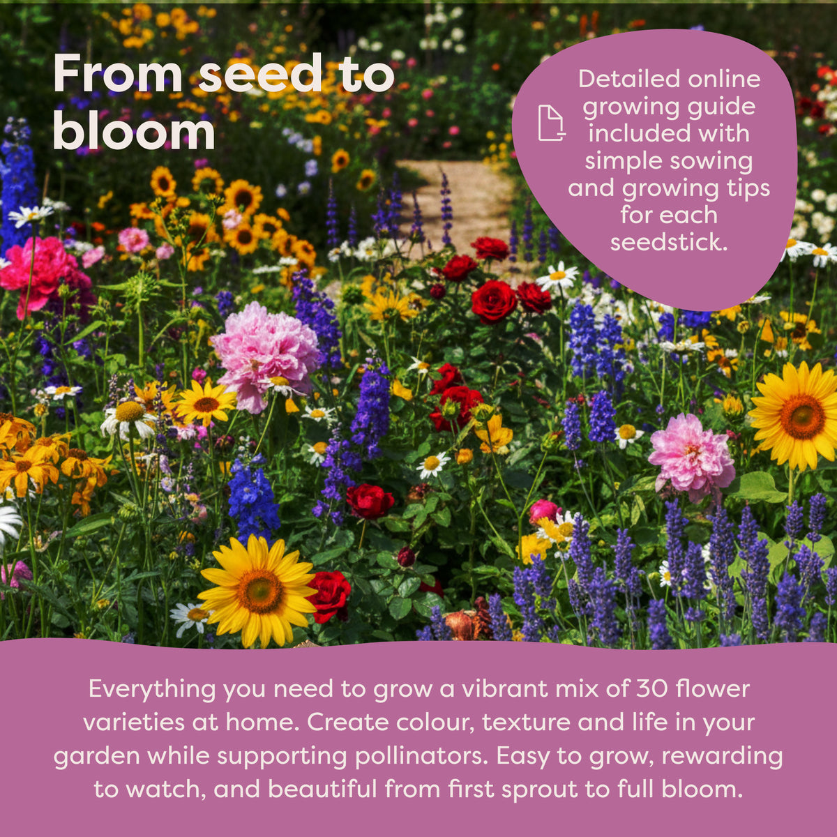 Key benefits of Blooming Flower Seed Sacks