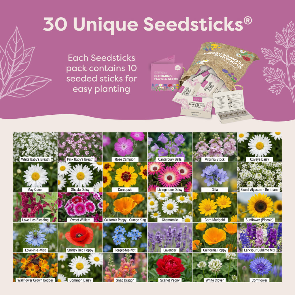 Flower varieties included in Blooming Flower Seed Sacks