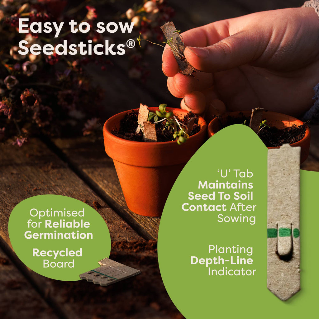 Capybara Seedsticks – product and growing image 5