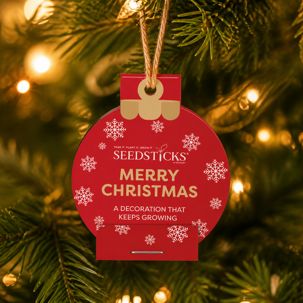 Christmas Bauble Seedsticks lifestyle scene