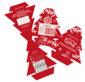 Open Christmas Tree Seedsticks pack with Norway spruce planting sticks