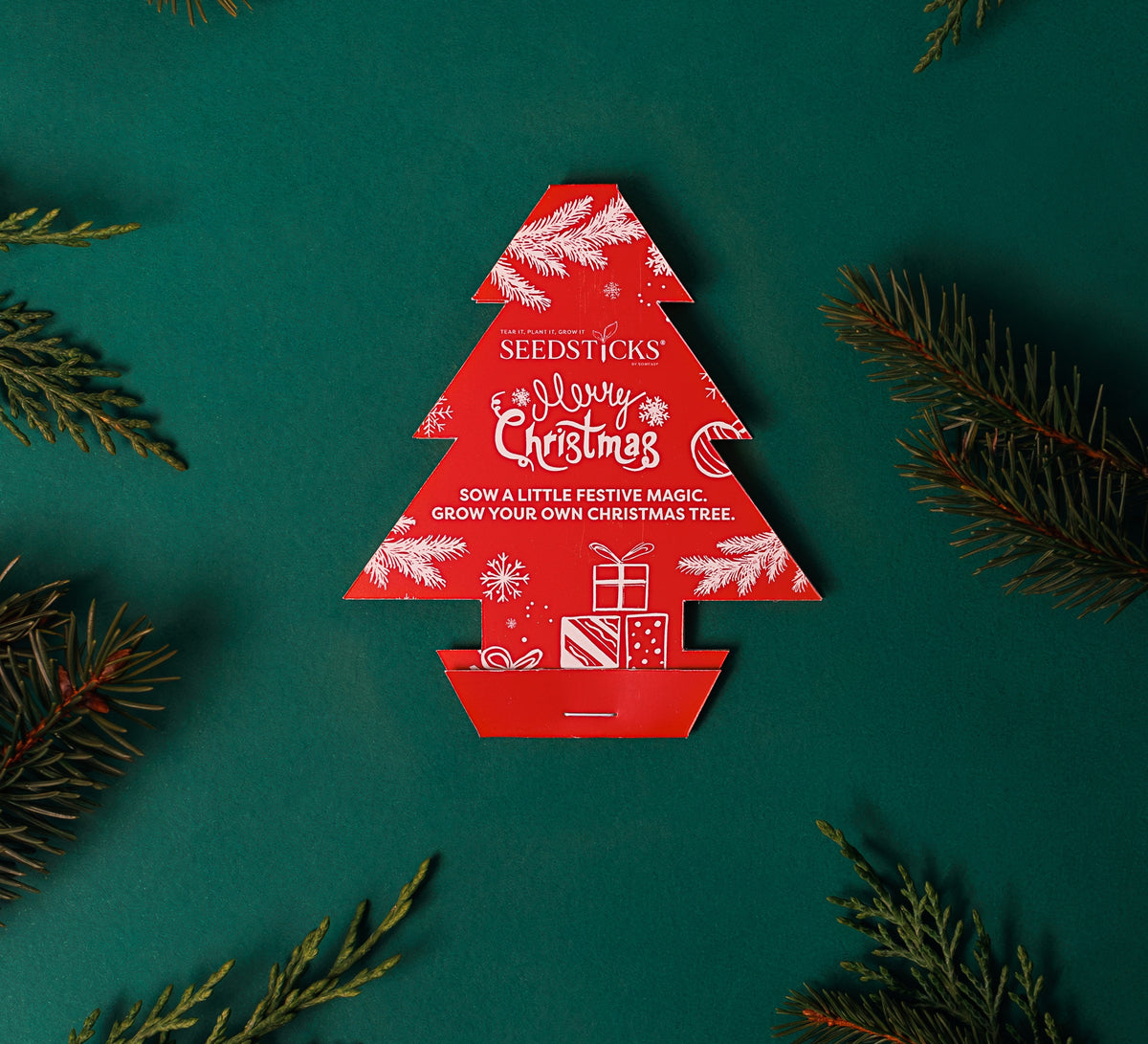 Christmas Tree Seedsticks displayed with festive evergreen foliage