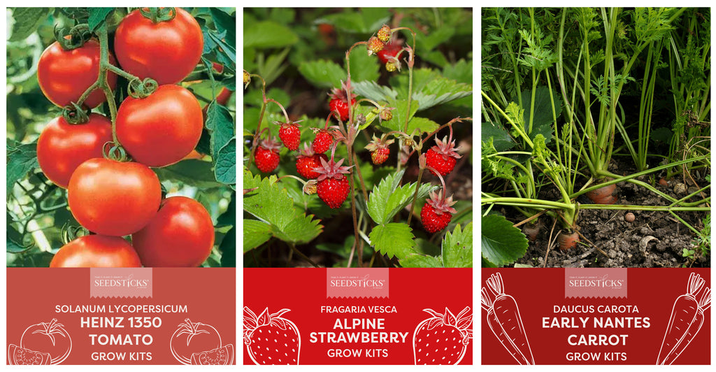 Tomato, strawberry and carrot growing results for Desktop Tube Gardens
