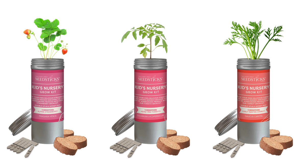 Strawberry, tomato and carrot Desktop Tube Gardens with plants, Seedsticks and soil pellets