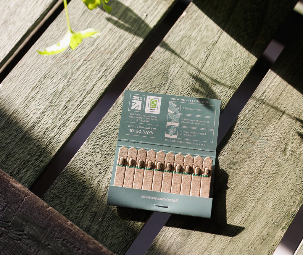Herb Me Up Seedsticks single lifestyle image