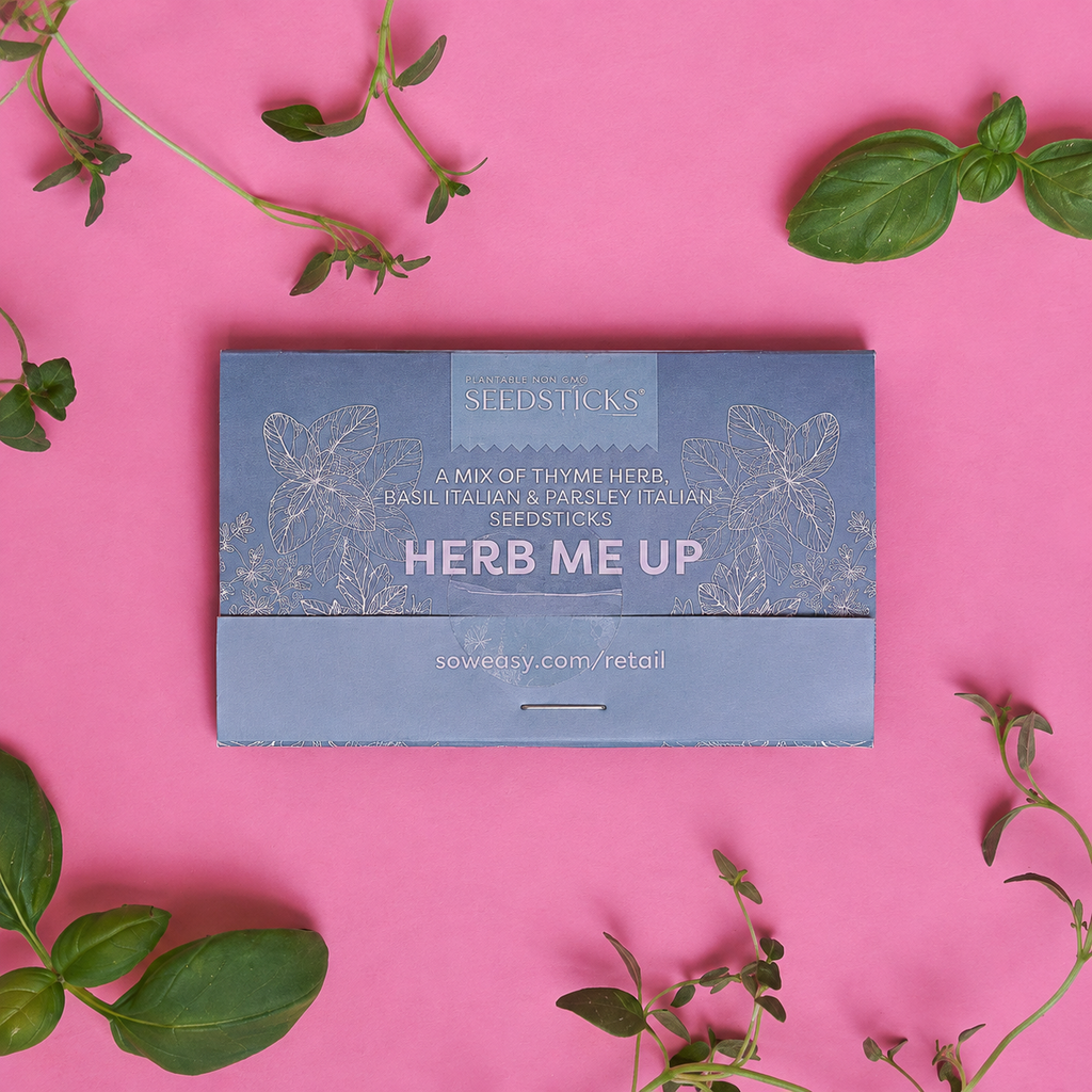 Herb Me Up mixed herb Seedsticks pack with fresh basil and thyme on a pink background