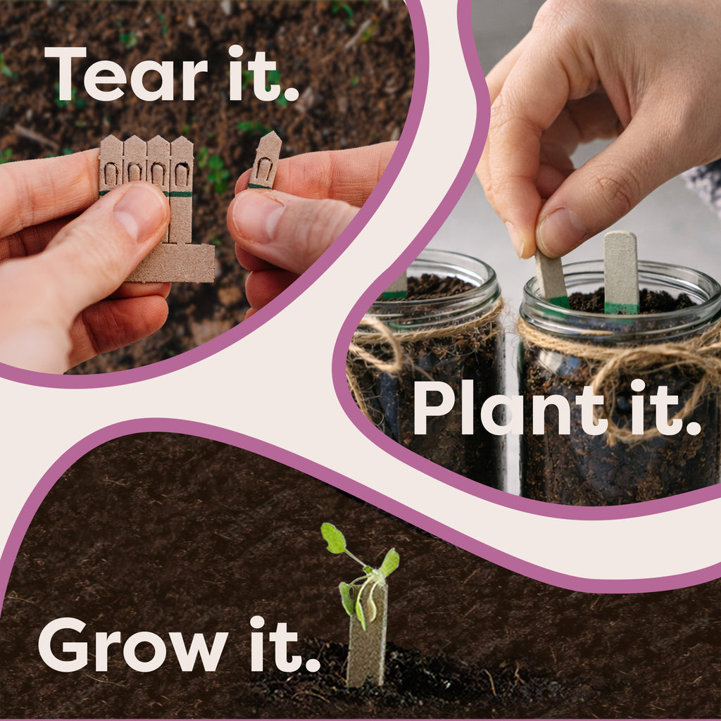 How to use the Indoor Flower Jar Garden Kit: tear, plant and grow