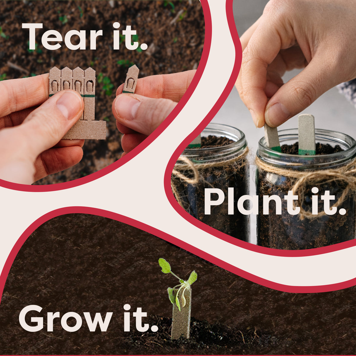 How to use the Indoor Fruit Jar Garden Kit: tear, plant and grow