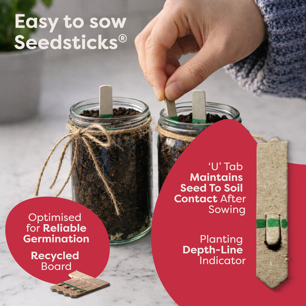 Indoor Fruit Jar Garden Seedsticks key features and planting benefits
