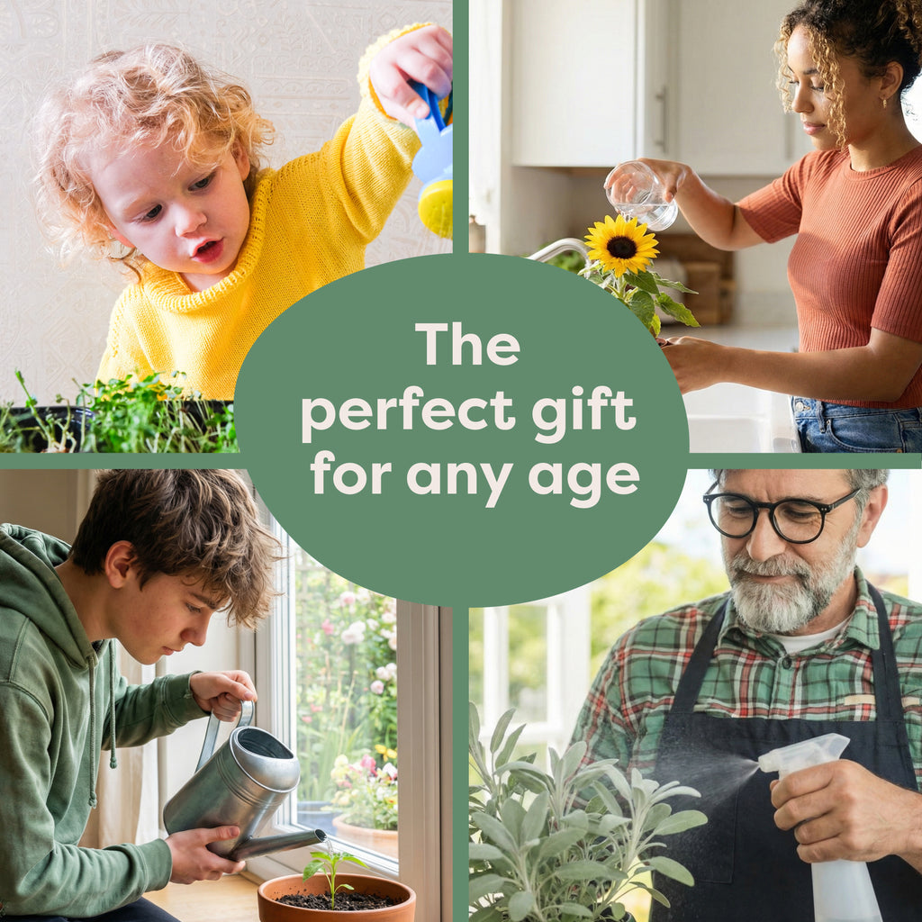 Basil, Mint and Coriander Indoor Herb Garden Kit gift for all ages