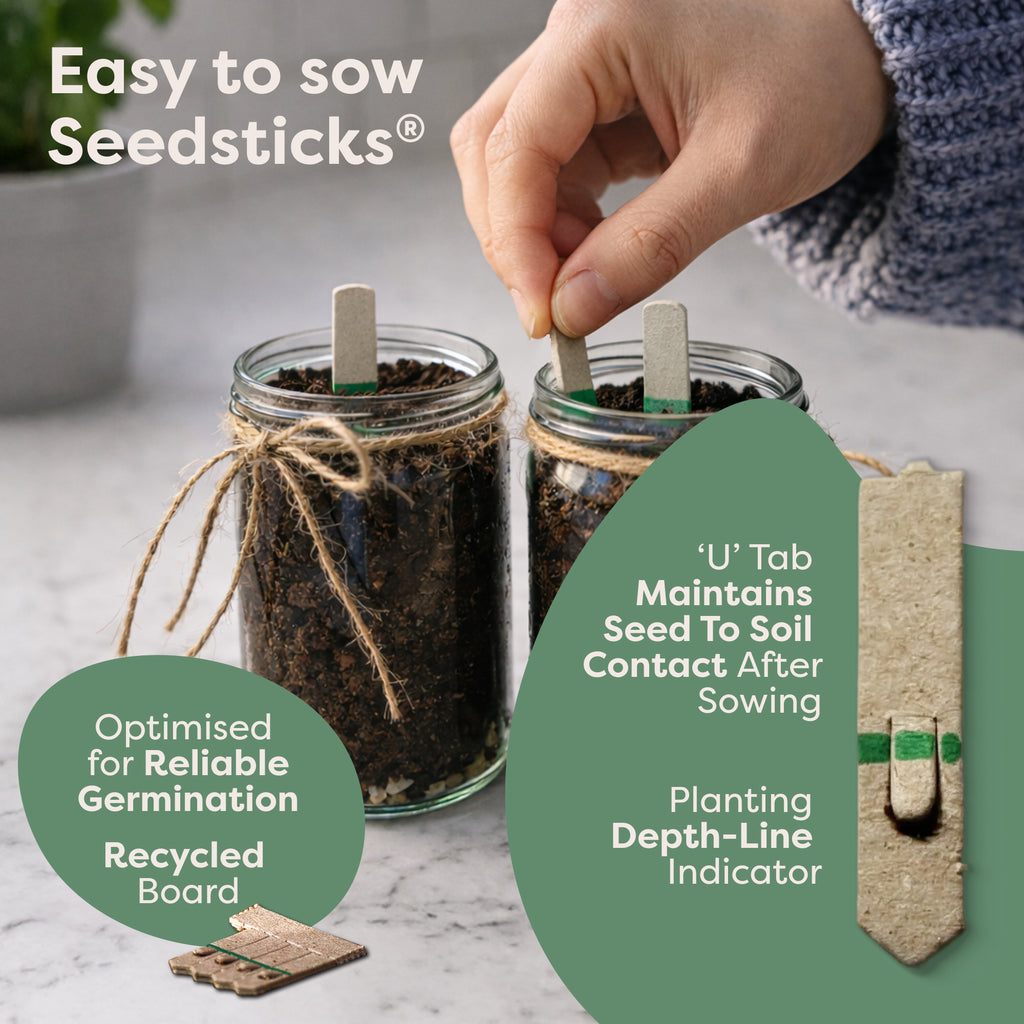 Basil, Mint and Coriander Indoor Herb Garden Seedsticks key features