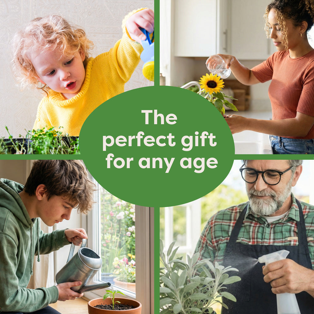 Indoor Veg Jar Garden Kit is a gardening gift for all ages