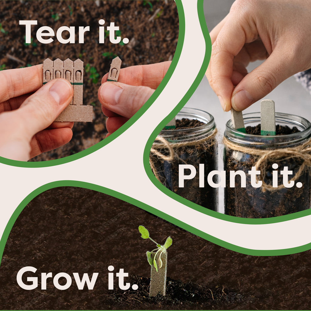 How to use the Indoor Veg Jar Garden Kit: tear, plant and grow