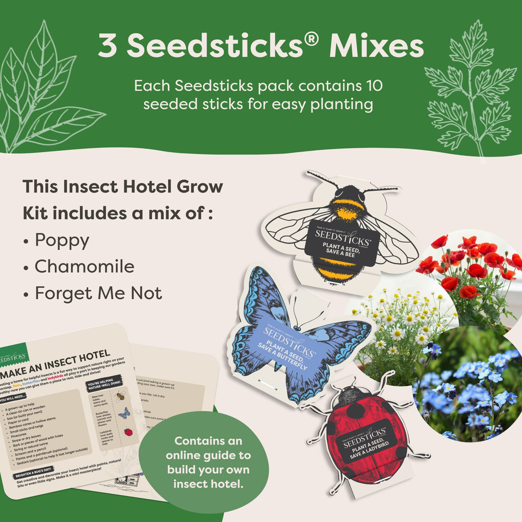 Insect Hotel Gift Pack - product image 3