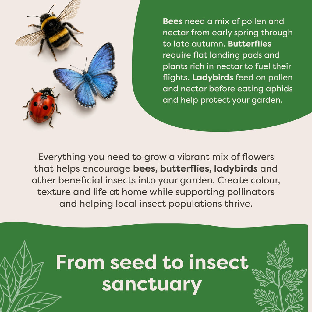 Insect Hotel Gift Pack - product image 4