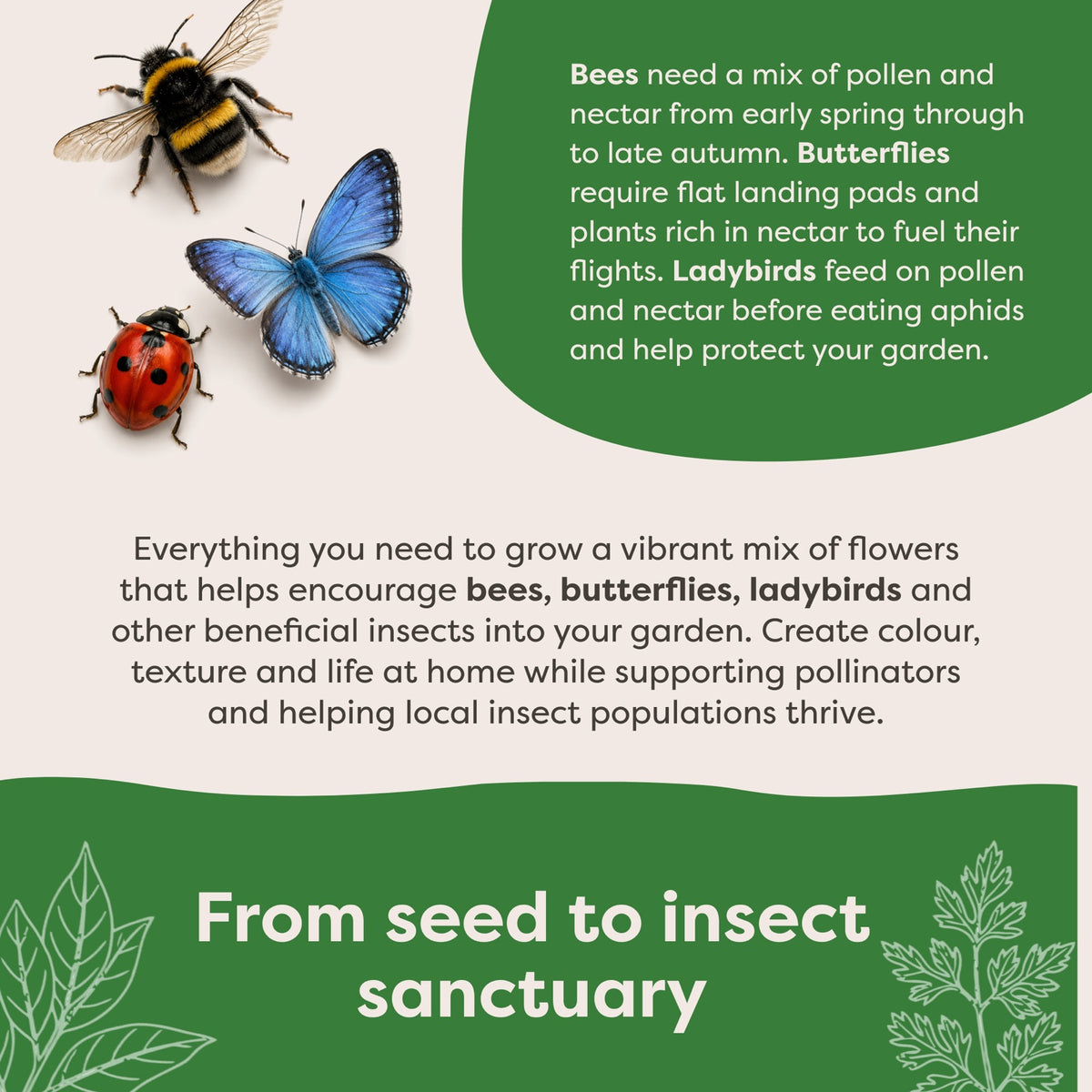 Insect Hotel Gift Pack - product image 4