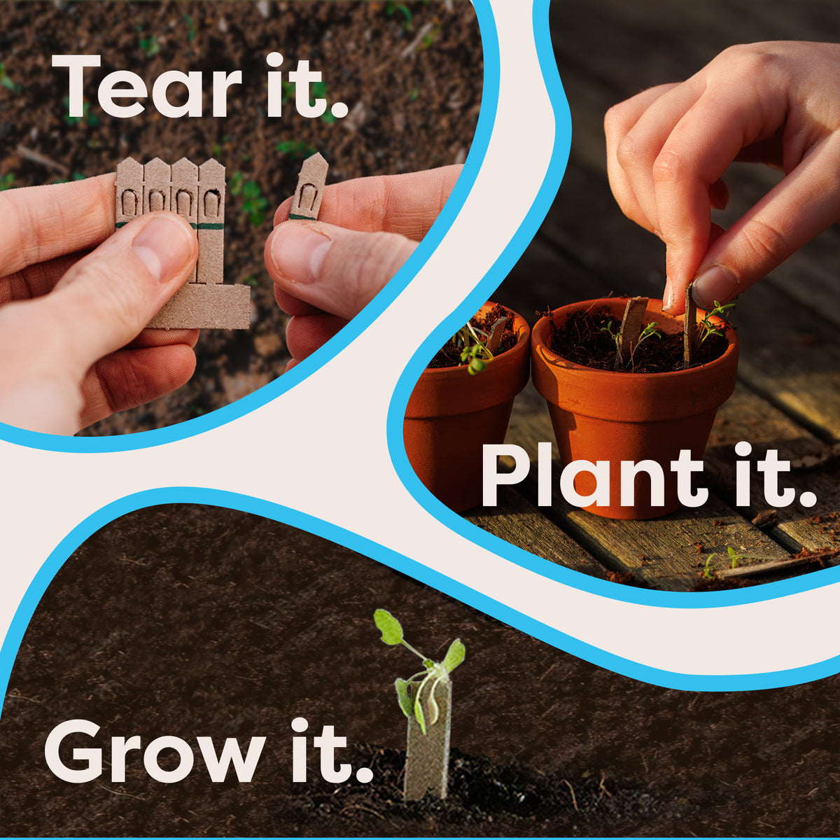 How children can use the Kid's Activity Set Grow Kit