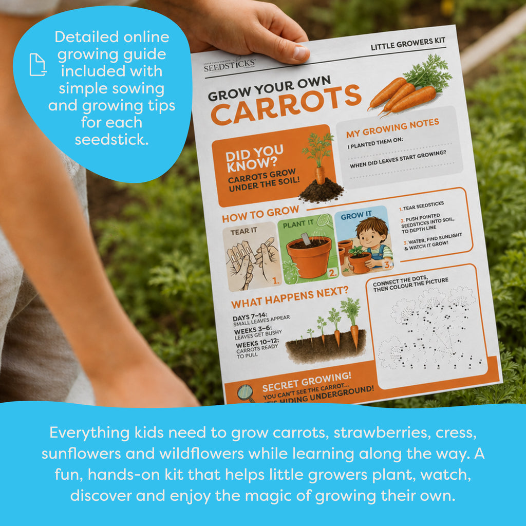 Key benefits of the Kid's Activity Set Grow Kit