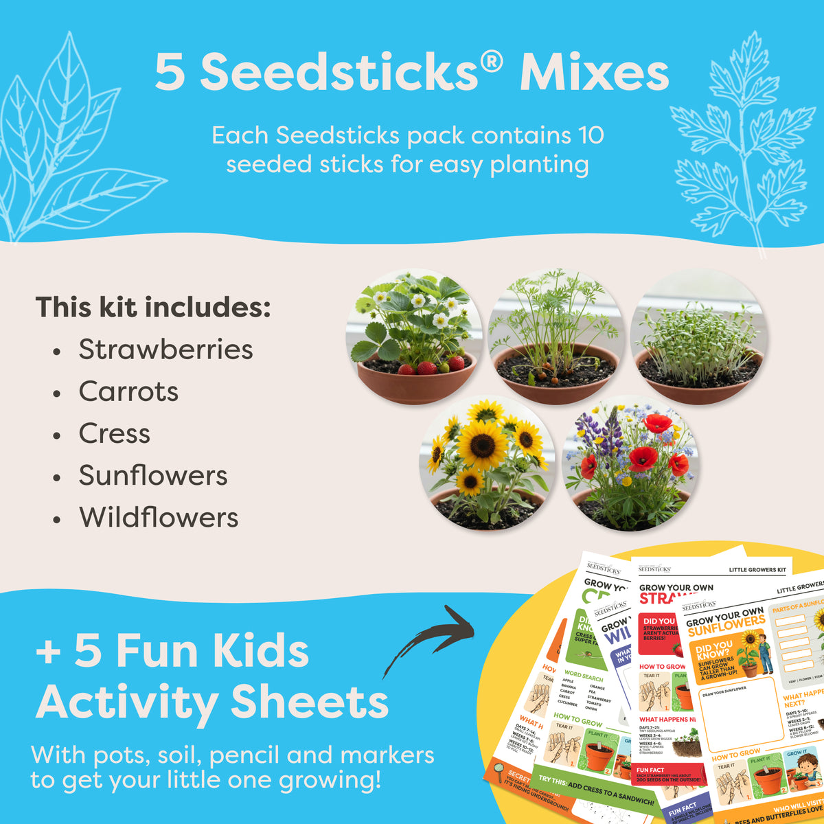 What is included in the Kid's Activity Set Grow Kit